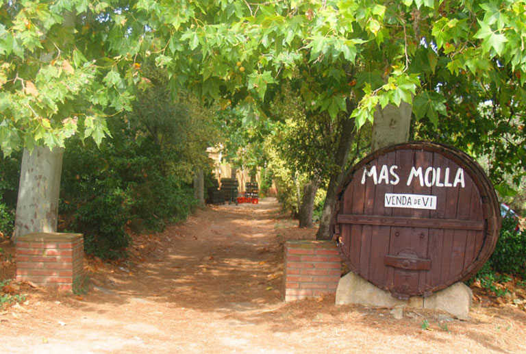 EL PASSAT I EL PRESENT DEL 